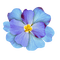 flowers - png gratis GIF animasi