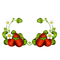 Fraises - Free PNG Animated GIF