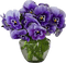 violets vase, sunshine3 - PNG gratuit GIF animé