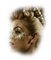 visage - Free PNG Animated GIF