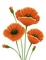 flores amapolas - бесплатно png анимированный гифка