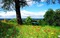 landskap-----landscape - bezmaksas png animēts GIF