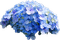 hortencias,flores-l - zdarma png animovaný GIF