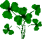 Clovers.Animated.Green - KittyKatLuv65 - Gratis geanimeerde GIF geanimeerde GIF