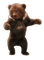 dolceluna autumn spring bear brown cute - 免费PNG 动画 GIF
