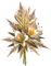 Flowers beige bp - PNG gratuit GIF animé
