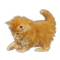 gato  dubravka4 - ücretsiz png animasyonlu GIF