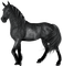Kaz_Creations Animals Horse - безплатен png анимиран GIF