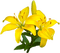 Roseline - bezmaksas png animēts GIF