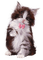 Katze - Безплатен анимиран GIF