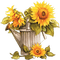 Sunflowers in can