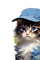 charmille _ animaux - 免费PNG 动画 GIF