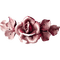 minou-pink-rosa-flowers-blommor-fiori-fleurs - PNG gratuit GIF animé