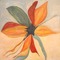 Hintergrund, Blume, beige/orange/grün - PNG gratuit GIF animé