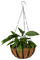 Blumenampel - gratis png animerad GIF