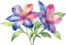 Lilium viola - png gratuito GIF animata
