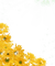 amarillo - besplatni png animirani GIF