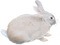 white bunny deco kikkapink - PNG gratuit GIF animé