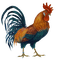 Kaz_Creations Cute Bird Turkey Chicken