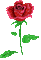 роза - Free animated GIF