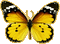 dulcineia8 borboletas - Besplatni animirani GIF animirani GIF