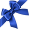 Kaz_Creations Ribbon Blue