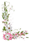 Flower Frame - бесплатно png анимированный гифка