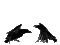 Raven - Nemokamas animacinis gif animuotas GIF