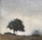 blurry tree background - ilmainen png animoitu GIF