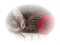 sleeping cat chat domir - nemokama png animuotas GIF