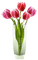 vase with tulips - png gratis GIF animado