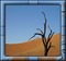 Background. Frame. Landscape. Blue. Desert. Leila - nemokama png animuotas GIF