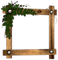 Frame Wood and Plant - bezmaksas png animēts GIF