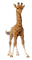 Kaz_Creations Giraffe - PNG gratuit GIF animé