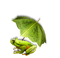 frog - ilmainen png animoitu GIF