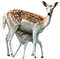 deer katrin - ilmainen png animoitu GIF