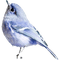 bird deco - PNG gratuit GIF animé