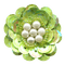 Flower ❤️ elizamio - безплатен png анимиран GIF