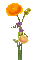 fleur-flower