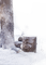 neige arbre - png gratuito GIF animata