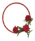 flower,rose,red, frame - Free PNG Animated GIF