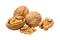 nuts bp - 免费PNG 动画 GIF