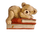 Teddy, Bücher - PNG gratuit GIF animé