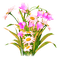 Flowers.Pink.White.Yellow - PNG gratuit GIF animé