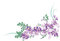 soave flowers deco border branch purple - PNG gratuit GIF animé