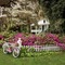 Vintage Garden - gratis png geanimeerde GIF