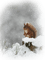 zima/wiewiórka - Free PNG Animated GIF