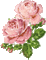 vintage roses - Δωρεάν κινούμενο GIF κινούμενο GIF
