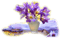 violeta - PNG gratuit GIF animé