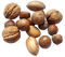 nuts bp - Free PNG Animated GIF